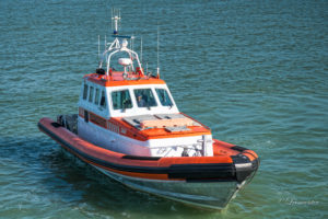 Lees meer over het artikel Visboot N 58 met motorproblemen